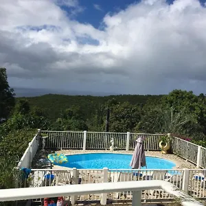 La Nicotoria Guadeloupe